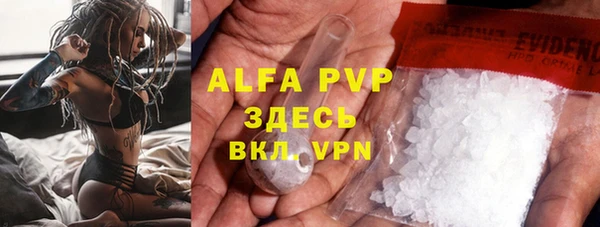прущие грибы Арсеньев
