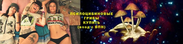 прущие грибы Арсеньев