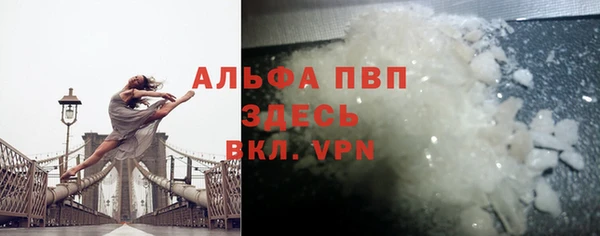 стафф Ростов