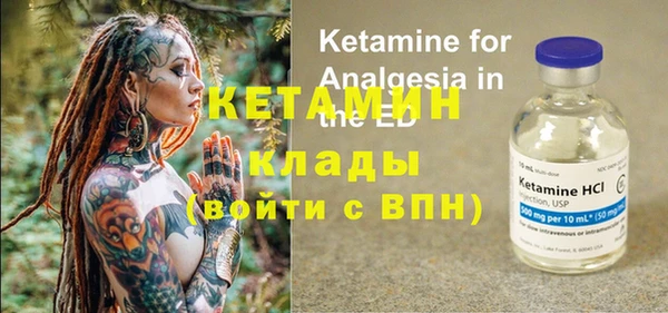 крисы Баксан