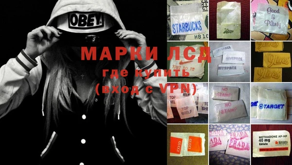 прущие грибы Арсеньев