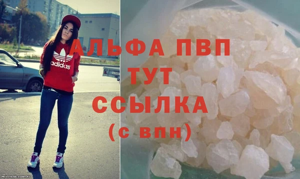 крисы Баксан