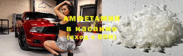 прущие грибы Арсеньев