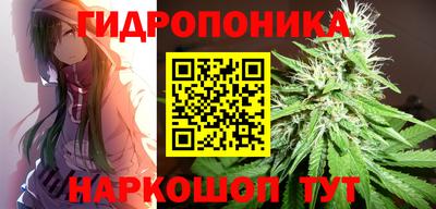 соль ск Гатчина